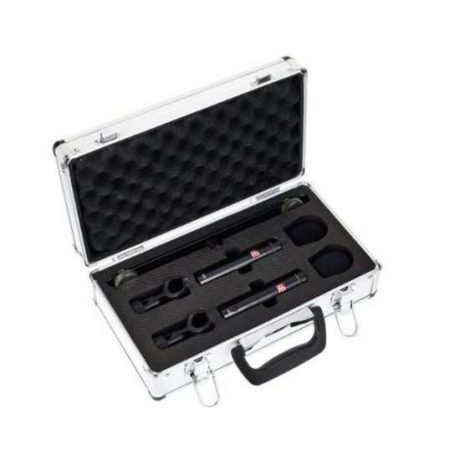 Equipo SE Electronics SE8 condensador PAR