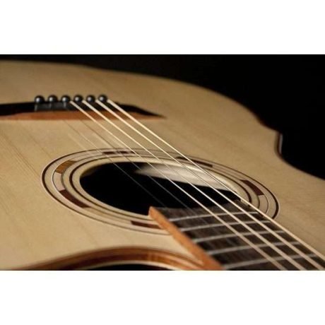 Equipo Washburn WCG 25 SCE