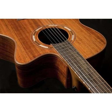 Equipo Washburn WCG 55CE