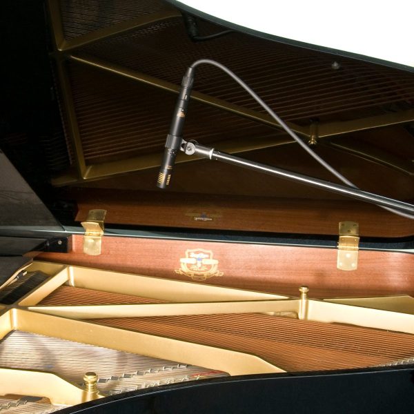 Audix ADX51 Con Case Audio profesional